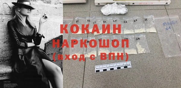гидра Абаза