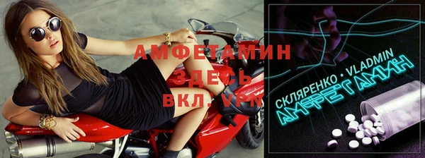 гидра Абаза