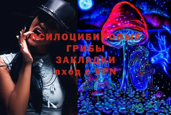 мескалин Алексин