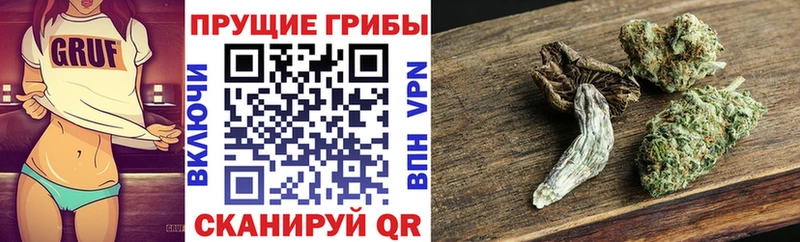 Галлюциногенные грибы мицелий  дарнет шоп  Бокситогорск 